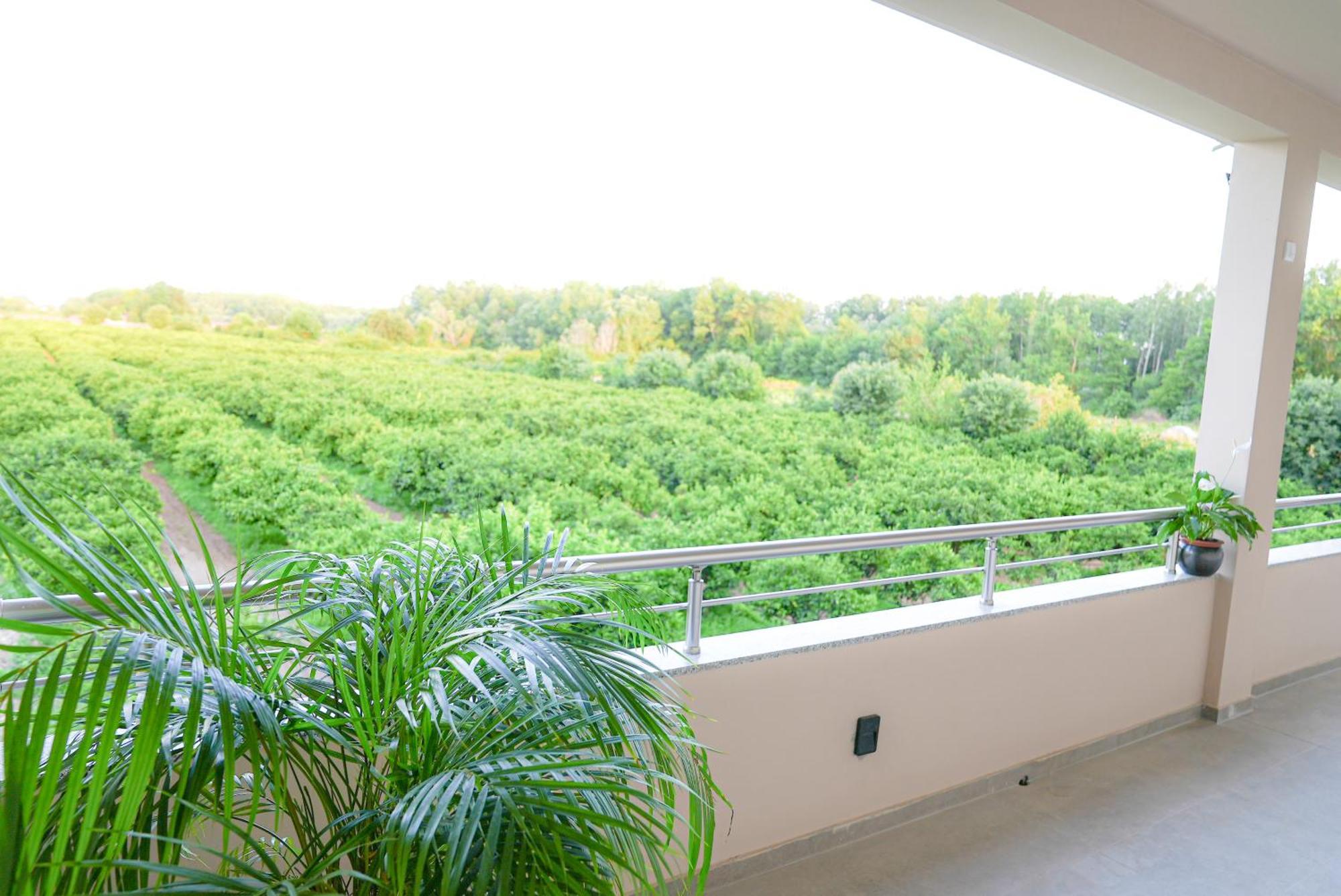 Bregvija Mar Nero Apartments מראה חיצוני תמונה